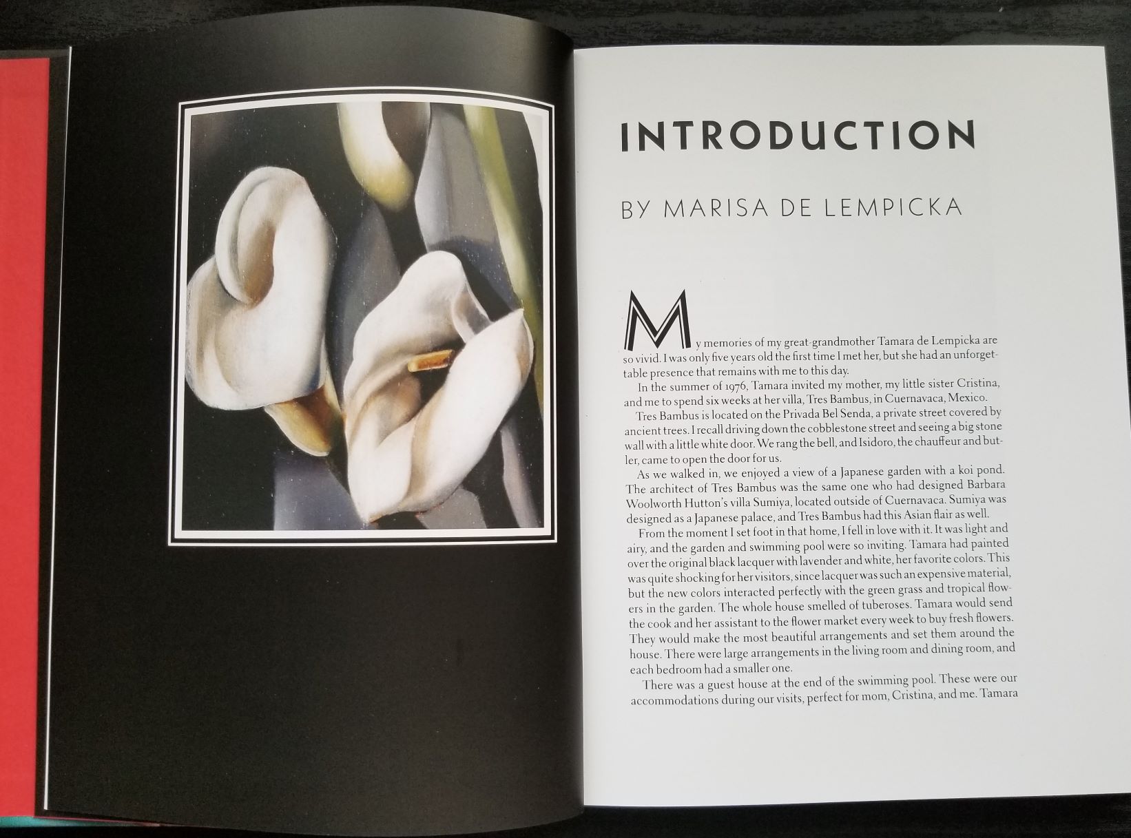 Passion by Design, Abbeville Press, New York – Tamara de Lempicka
